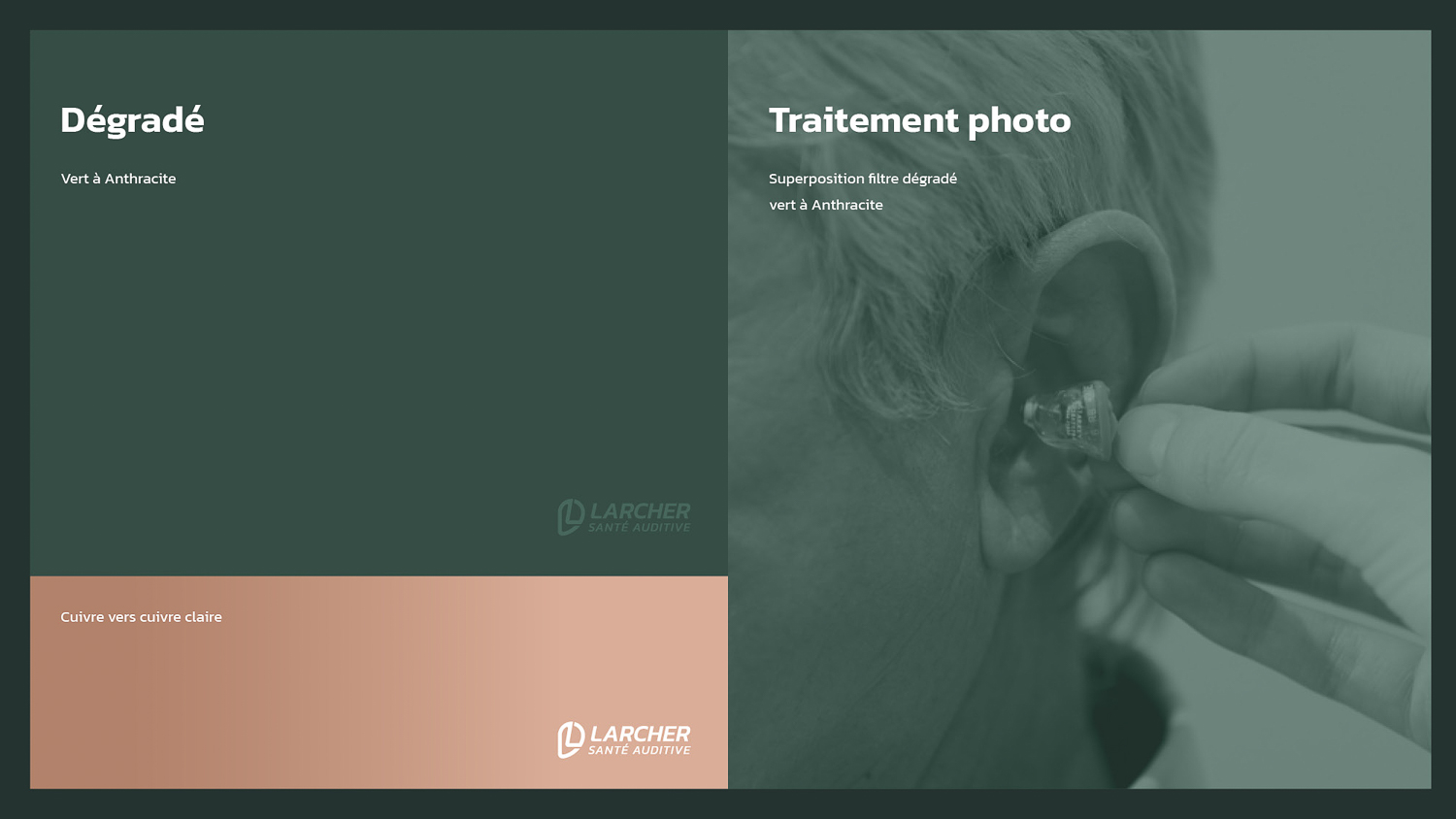 charte graphique larcher8