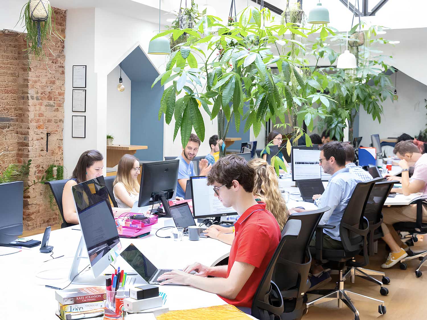 cardiologs mock up13