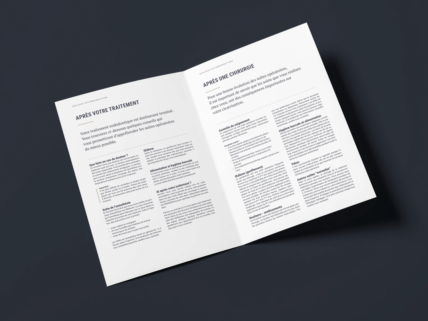 eve laurent mock up12