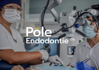 Identité et site WordPress de Pôle Endodontie 31 à Toulouse